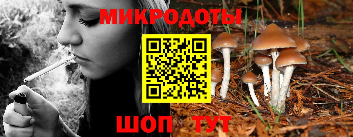 Галлюциногенные грибы мухоморы  Вход с VPN  дарнет шоп  Богданович 